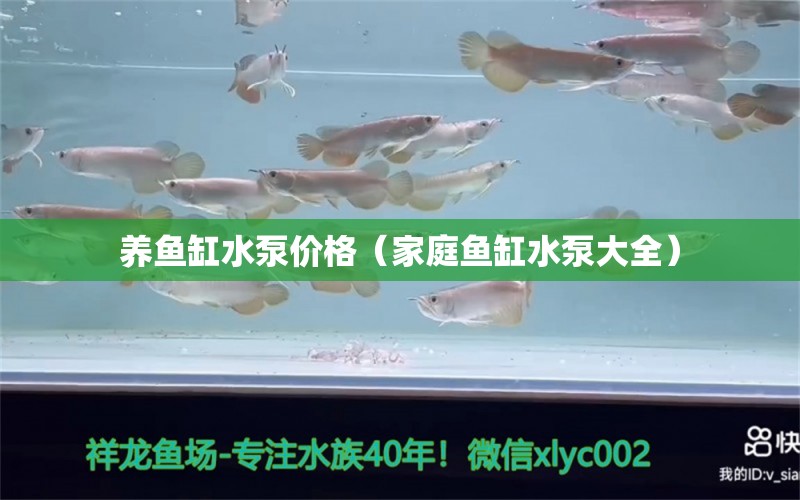 養(yǎng)魚缸水泵價格（家庭魚缸水泵大全）