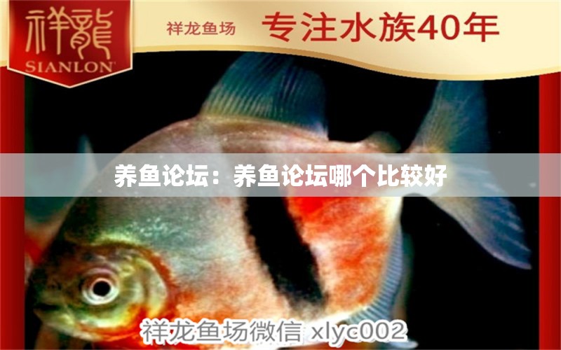 養(yǎng)魚(yú)論壇：養(yǎng)魚(yú)論壇哪個(gè)比較好