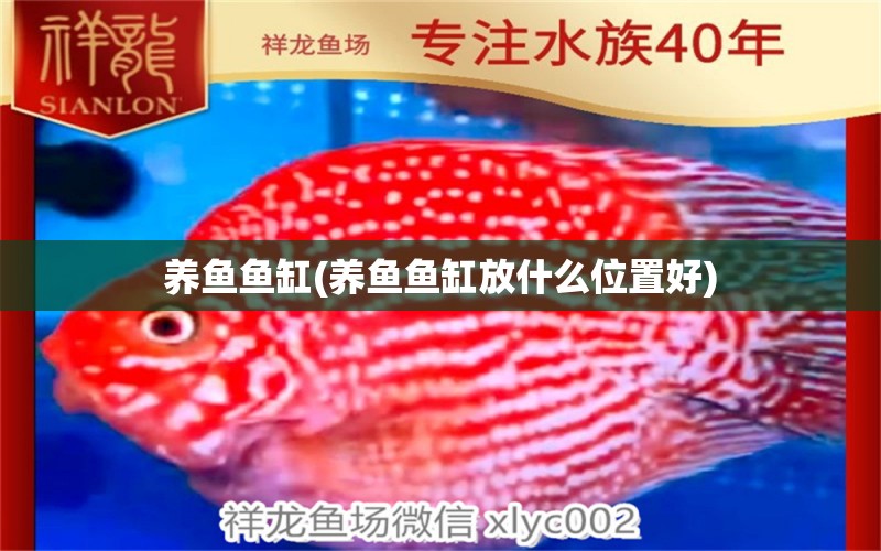 養(yǎng)魚魚缸(養(yǎng)魚魚缸放什么位置好) 祥龍龍魚專用水族燈