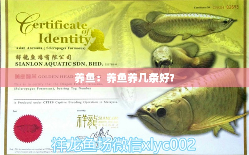 養(yǎng)魚：養(yǎng)魚養(yǎng)幾條好?