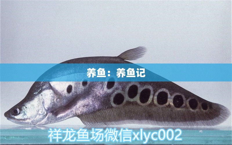 養(yǎng)魚：養(yǎng)魚記