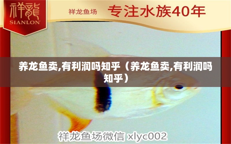 養(yǎng)龍魚賣,有利潤嗎知乎（養(yǎng)龍魚賣,有利潤嗎知乎）