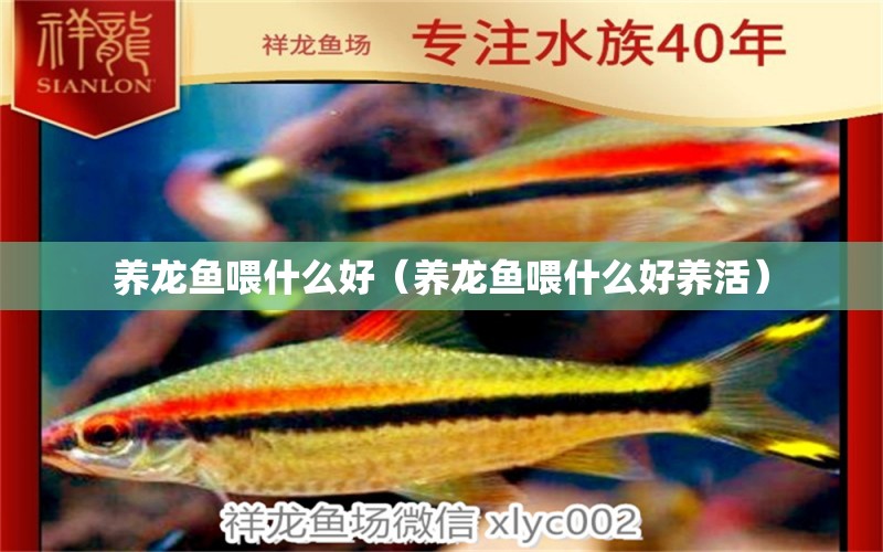 養(yǎng)龍魚喂什么好（養(yǎng)龍魚喂什么好養(yǎng)活）