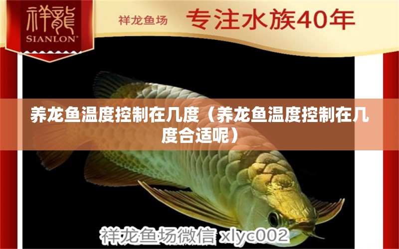 養(yǎng)龍魚溫度控制在幾度（養(yǎng)龍魚溫度控制在幾度合適呢） 廣州龍魚批發(fā)市場