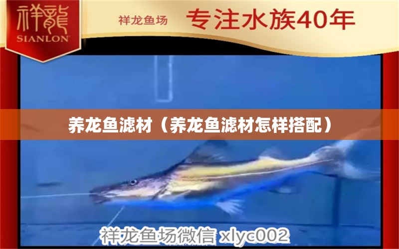 養(yǎng)龍魚(yú)濾材（養(yǎng)龍魚(yú)濾材怎樣搭配） 廣州龍魚(yú)批發(fā)市場(chǎng)