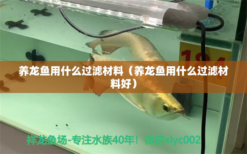 養(yǎng)龍魚用什么過濾材料（養(yǎng)龍魚用什么過濾材料好）