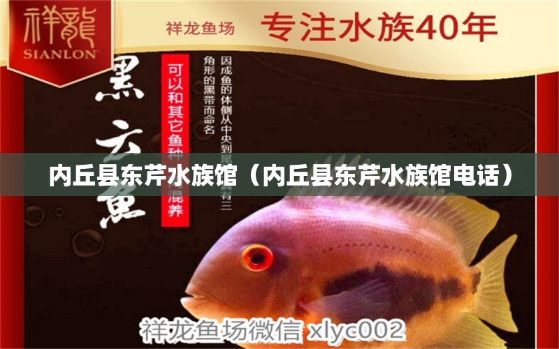 內(nèi)丘縣東芹水族館（內(nèi)丘縣東芹水族館電話）