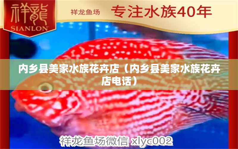 內(nèi)鄉(xiāng)縣美家水族花卉店（內(nèi)鄉(xiāng)縣美家水族花卉店電話） 全國水族館企業(yè)名錄