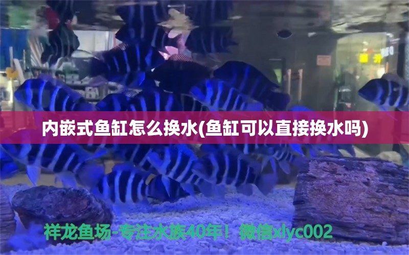 內(nèi)嵌式魚(yú)缸怎么換水(魚(yú)缸可以直接換水嗎)