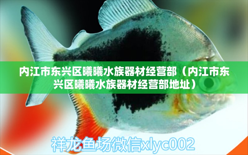 內(nèi)江市東興區(qū)曦曦水族器材經(jīng)營(yíng)部（內(nèi)江市東興區(qū)曦曦水族器材經(jīng)營(yíng)部地址）