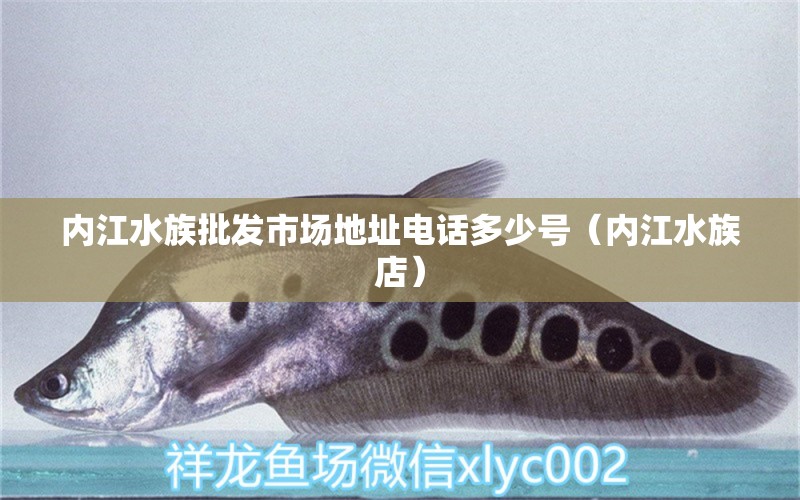 內(nèi)江水族批發(fā)市場(chǎng)地址電話(huà)多少號(hào)（內(nèi)江水族店） iwish愛(ài)唯希品牌魚(yú)缸