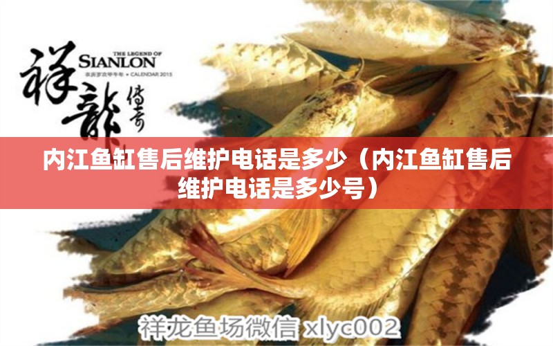 內(nèi)江魚缸售后維護(hù)電話是多少（內(nèi)江魚缸售后維護(hù)電話是多少號） 其他品牌魚缸