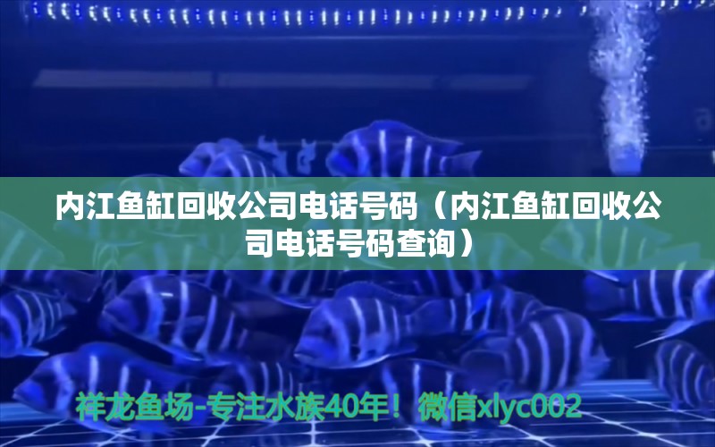 內江魚缸回收公司電話號碼（內江魚缸回收公司電話號碼查詢）