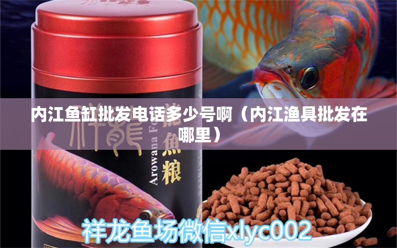 內(nèi)江魚(yú)缸批發(fā)電話多少號(hào)啊（內(nèi)江漁具批發(fā)在哪里） 埃及神仙魚(yú)