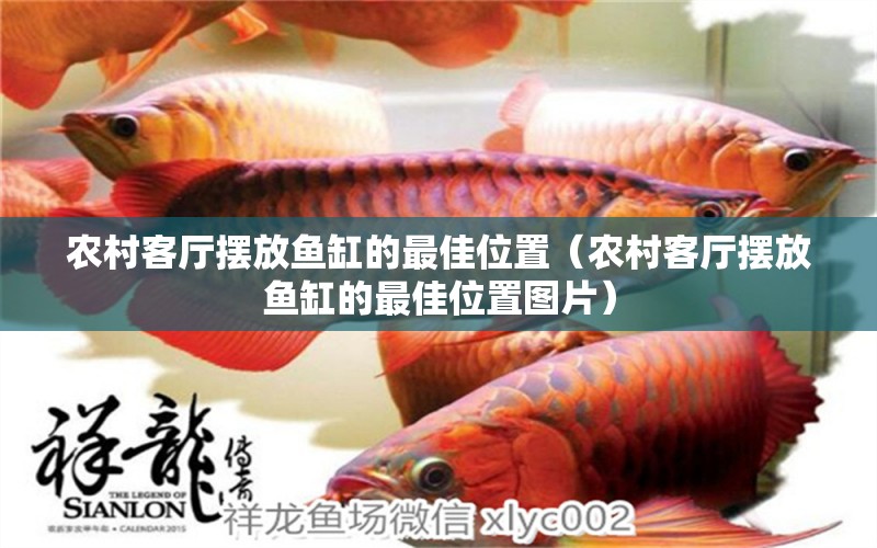 農村客廳擺放魚缸的最佳位置（農村客廳擺放魚缸的最佳位置圖片）