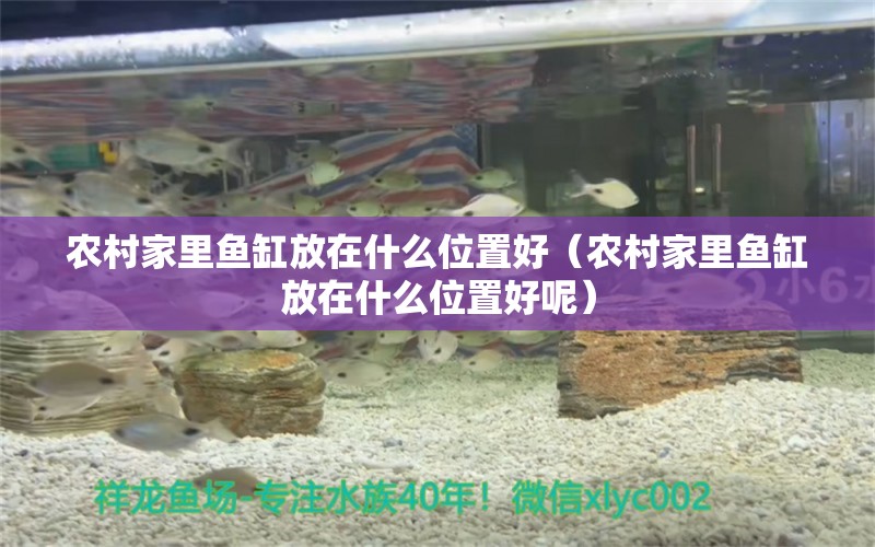 農(nóng)村家里魚缸放在什么位置好（農(nóng)村家里魚缸放在什么位置好呢）