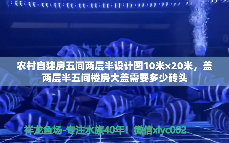 農(nóng)村自建房五間兩層半設(shè)計(jì)圖10米×20米，蓋兩層半五間樓房大蓋需要多少磚頭