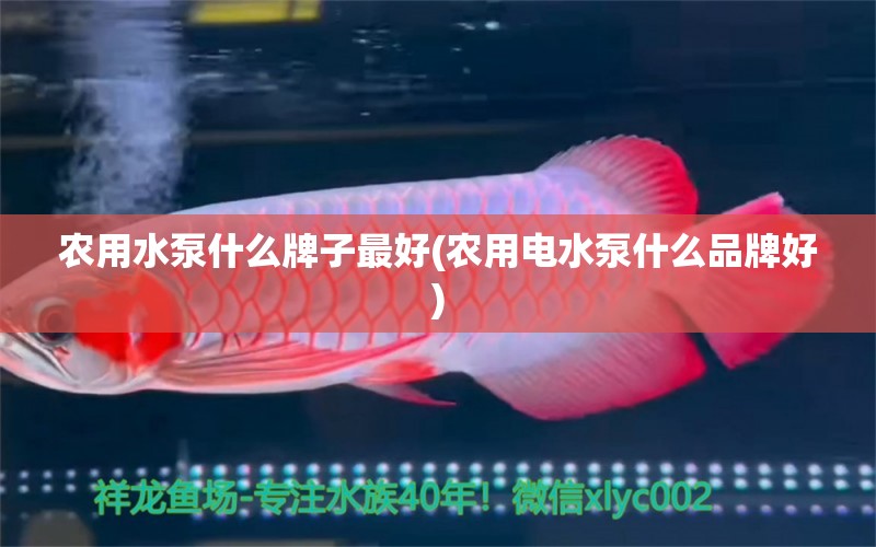 農(nóng)用水泵什么牌子最好(農(nóng)用電水泵什么品牌好) 慈雕魚