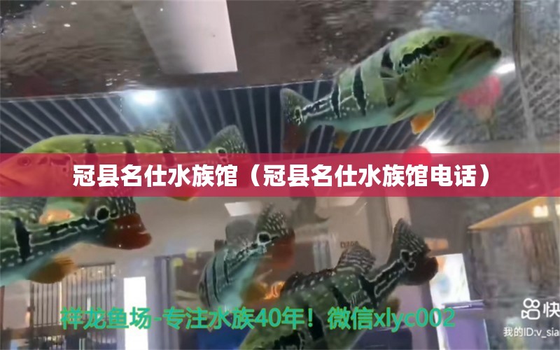 冠縣名仕水族館（冠縣名仕水族館電話(huà)） 全國(guó)水族館企業(yè)名錄