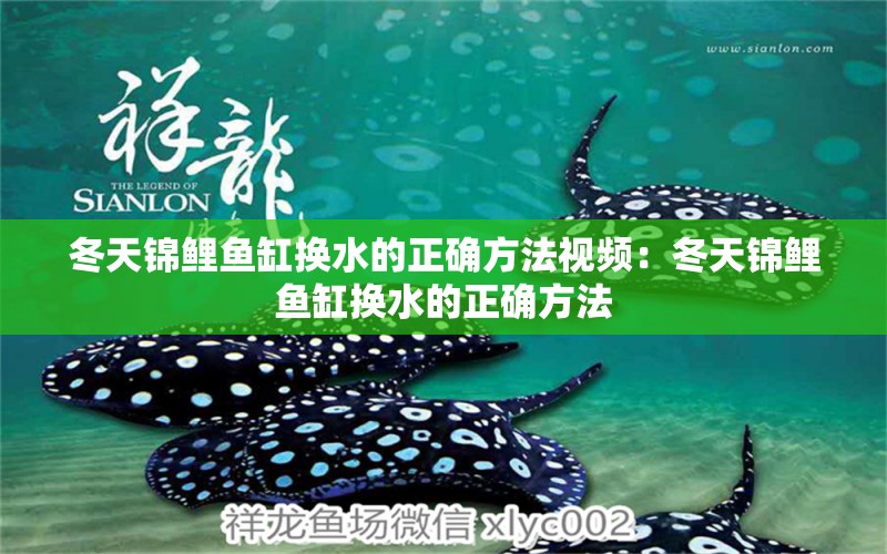 冬天錦鯉魚缸換水的正確方法視頻：冬天錦鯉魚缸換水的正確方法 魚缸百科 第2張