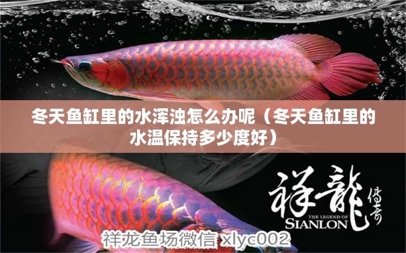 冬天魚缸里的水渾濁怎么辦呢（冬天魚缸里的水溫保持多少度好） 馬來西亞咖啡