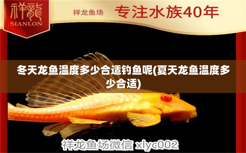 冬天龍魚溫度多少合適釣魚呢(夏天龍魚溫度多少合適) 垂釣樂園