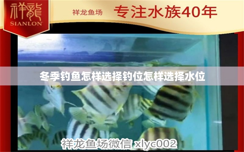 冬季釣魚怎樣選擇釣位怎樣選擇水位 羅漢魚批發(fā) 第3張