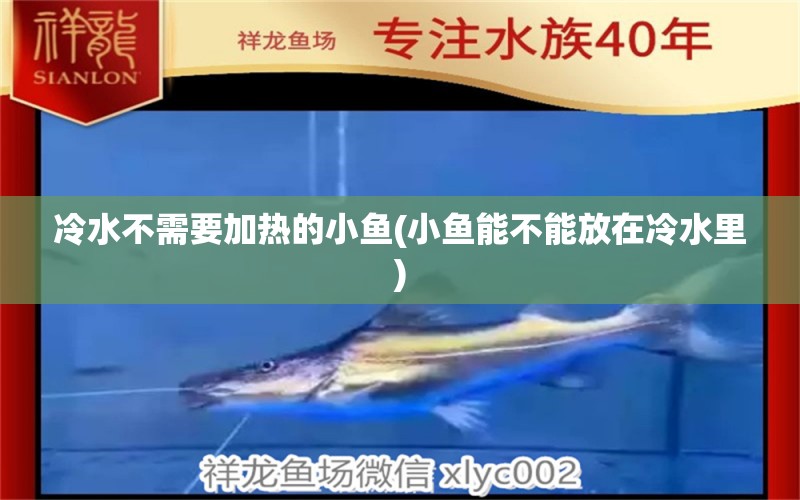 冷水不需要加熱的小魚(小魚能不能放在冷水里) 黃金達(dá)摩魚