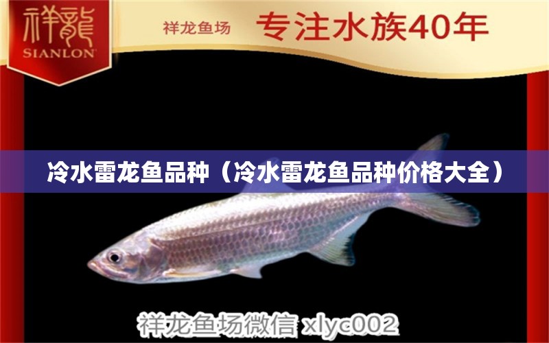 冷水雷龍魚品種（冷水雷龍魚品種價格大全） 龍魚疾病與治療