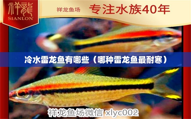 冷水雷龍魚有哪些（哪種雷龍魚最耐寒）