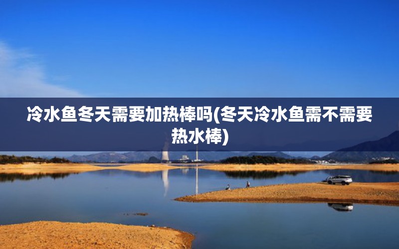 冷水魚冬天需要加熱棒嗎(冬天冷水魚需不需要熱水棒) 麥肯斯銀版魚