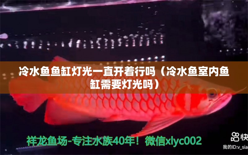 冷水魚(yú)魚(yú)缸燈光一直開(kāi)著行嗎（冷水魚(yú)室內(nèi)魚(yú)缸需要燈光嗎）