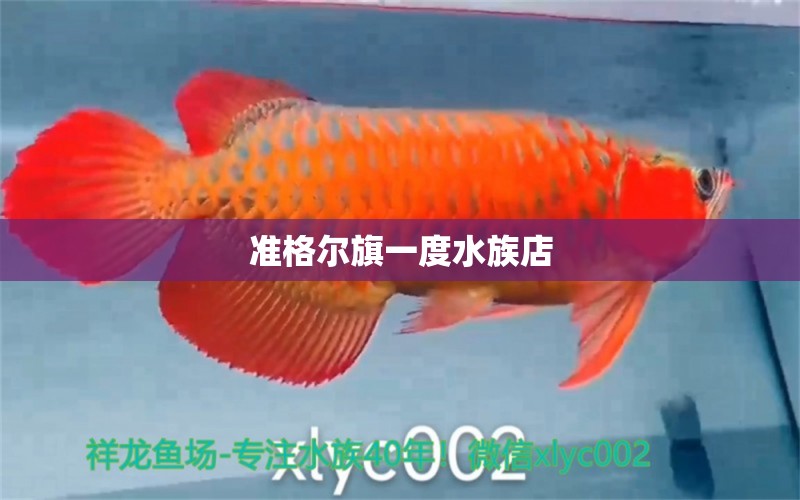 準(zhǔn)格爾旗一度水族店 全國(guó)水族館企業(yè)名錄