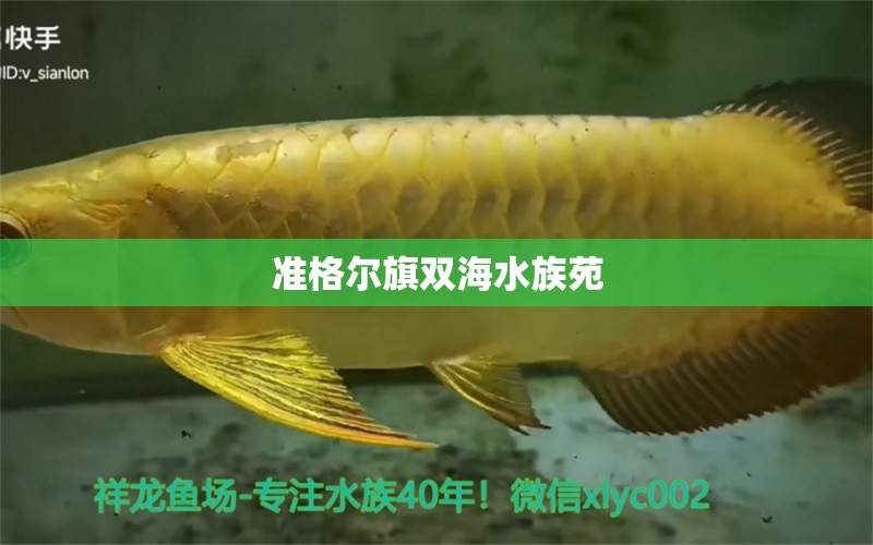 準(zhǔn)格爾旗雙海水族苑 全國(guó)水族館企業(yè)名錄