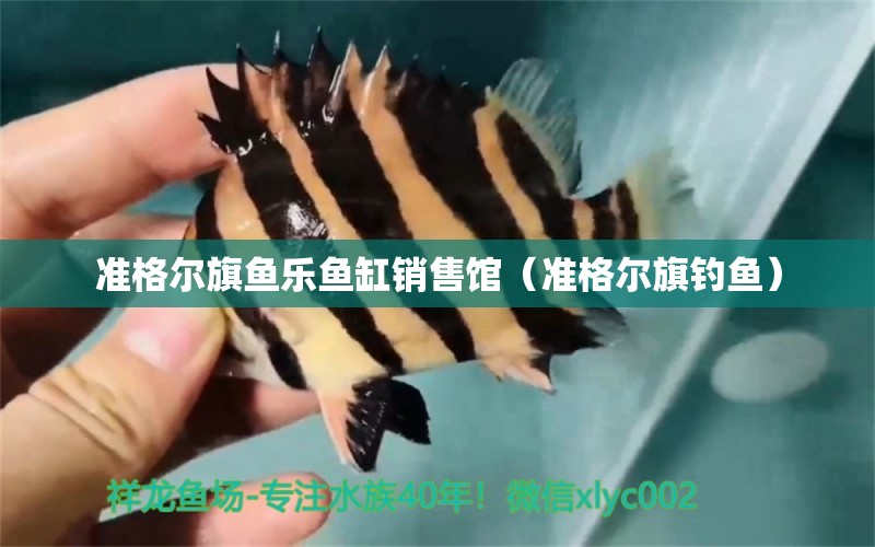 準(zhǔn)格爾旗魚樂魚缸銷售館（準(zhǔn)格爾旗釣魚） 垂釣樂園