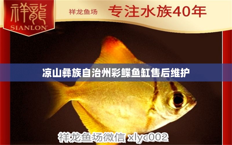 涼山彝族自治州彩鰈魚缸售后維護 彩鰈魚缸（彩蝶魚缸）