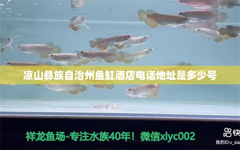 涼山彝族自治州魚缸酒店電話地址是多少號(hào) 祥龍魚場