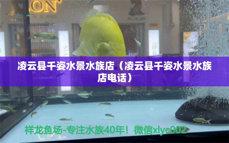 凌云縣千姿水景水族店（凌云縣千姿水景水族店電話）