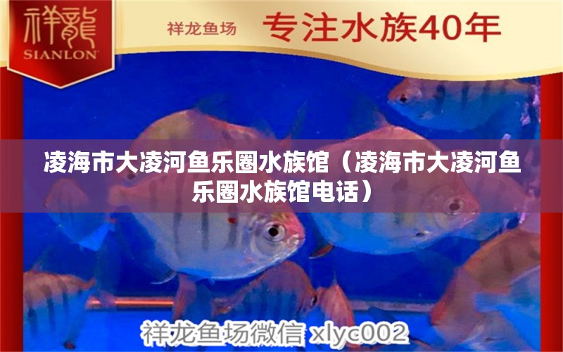 凌海市大凌河魚樂圈水族館（凌海市大凌河魚樂圈水族館電話）