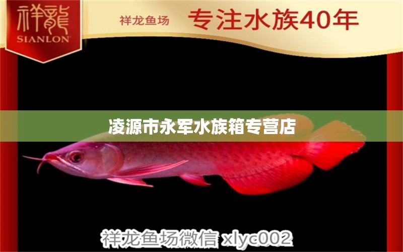 凌源市永軍水族箱專營(yíng)店 魚(yú)缸/水族箱