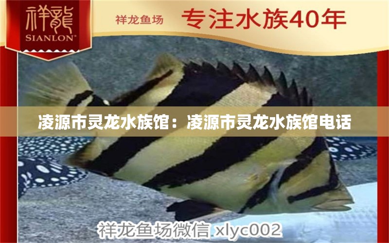 凌源市靈龍水族館：凌源市靈龍水族館電話 全國水族館企業(yè)名錄