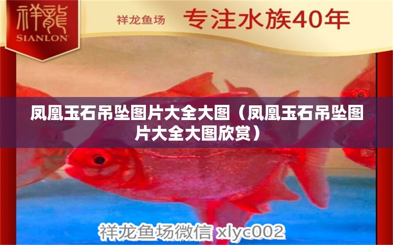 鳳凰玉石吊墜圖片大全大圖（鳳凰玉石吊墜圖片大全大圖欣賞） 虎魚百科