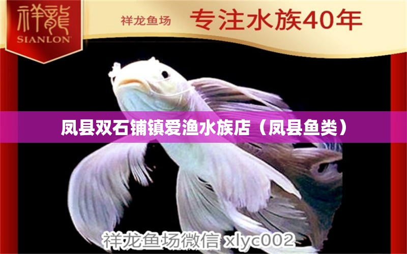 鳳縣雙石鋪鎮(zhèn)愛漁水族店（鳳縣魚類） 全國水族館企業(yè)名錄