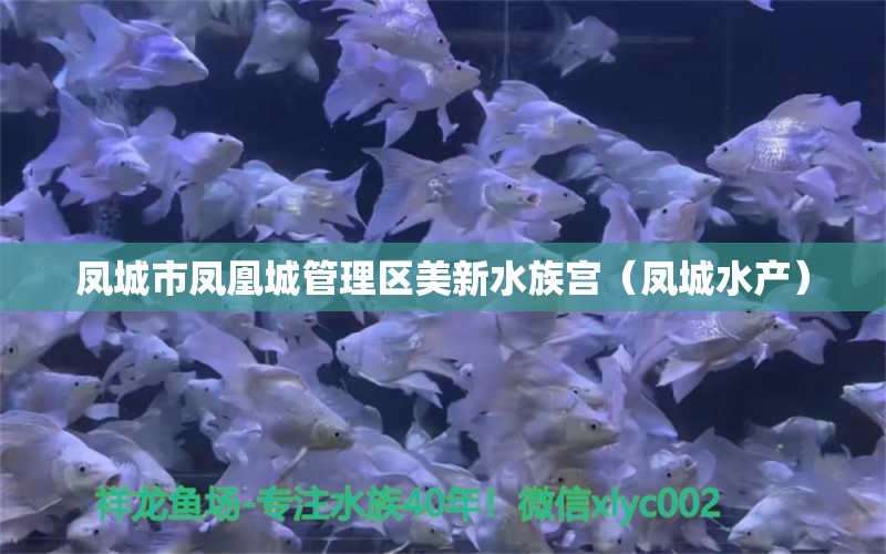 鳳城市鳳凰城管理區(qū)美新水族宮（鳳城水產(chǎn)） 全國水族館企業(yè)名錄