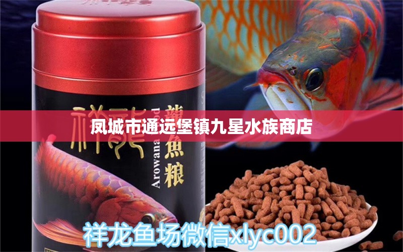 鳳城市通遠(yuǎn)堡鎮(zhèn)九星水族商店