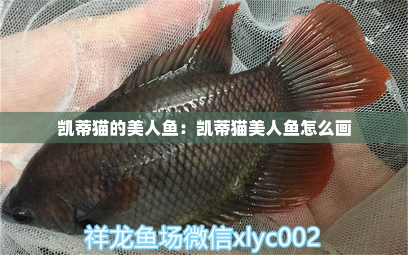 凱蒂貓的美人魚：凱蒂貓美人魚怎么畫