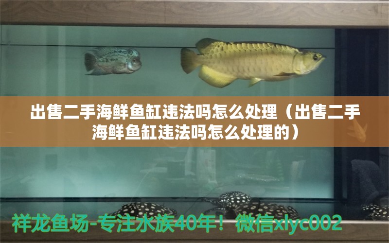 出售二手海鮮魚缸違法嗎怎么處理（出售二手海鮮魚缸違法嗎怎么處理的）