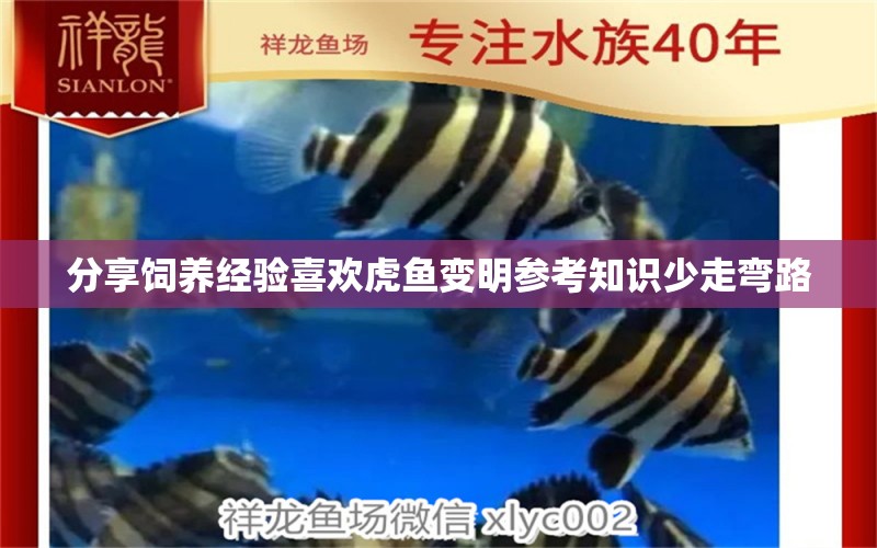 分享飼養(yǎng)經驗喜歡虎魚變明參考知識少走彎路