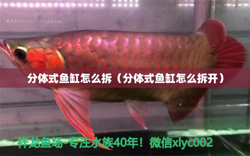 分體式魚缸怎么拆（分體式魚缸怎么拆開）