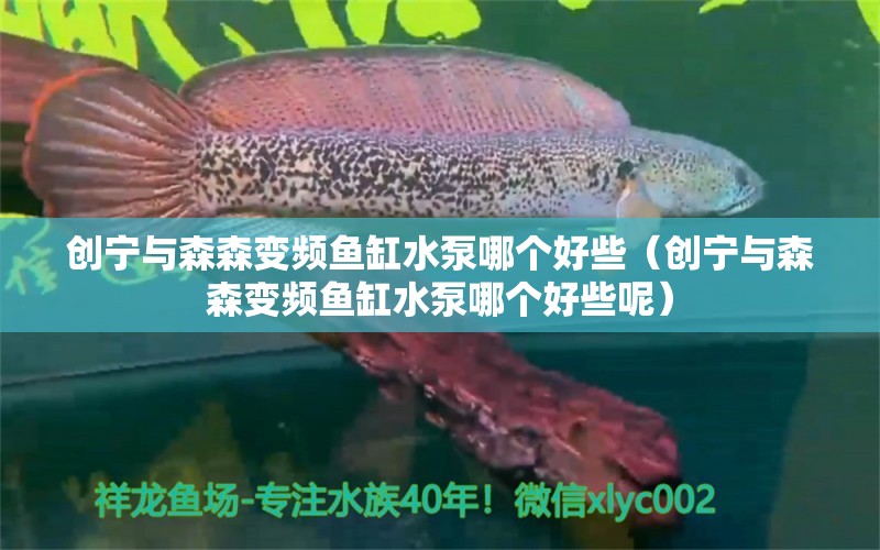 創(chuàng)寧與森森變頻魚缸水泵哪個好些（創(chuàng)寧與森森變頻魚缸水泵哪個好些呢） 創(chuàng)寧水族